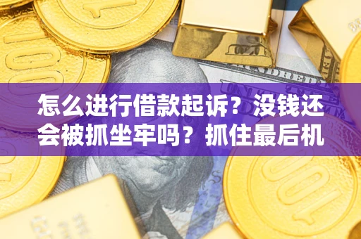北京怎么进行借款起诉？没钱还会被抓坐牢吗？抓住最后机会！