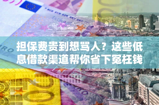 北京担保费贵到想骂人？这些低息借款渠道帮你省下冤枉钱
