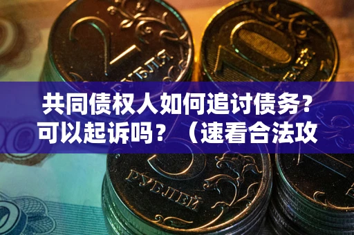 北京共同债权人如何追讨债务？可以起诉吗？（速看合法攻略）