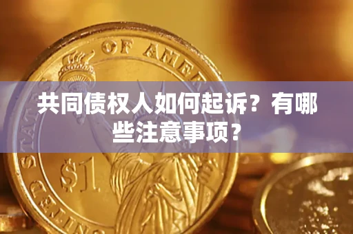 北京共同债权人如何起诉？有哪些注意事项？
